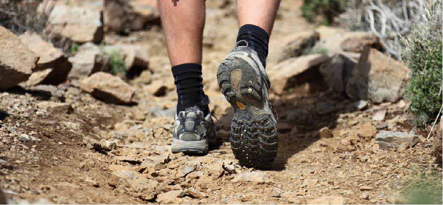 Hiking vs. Sports Shoes: Which One Should You Choose for Trekking