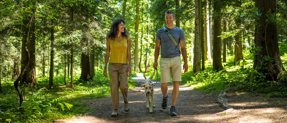 Couple walking their dog in the forest